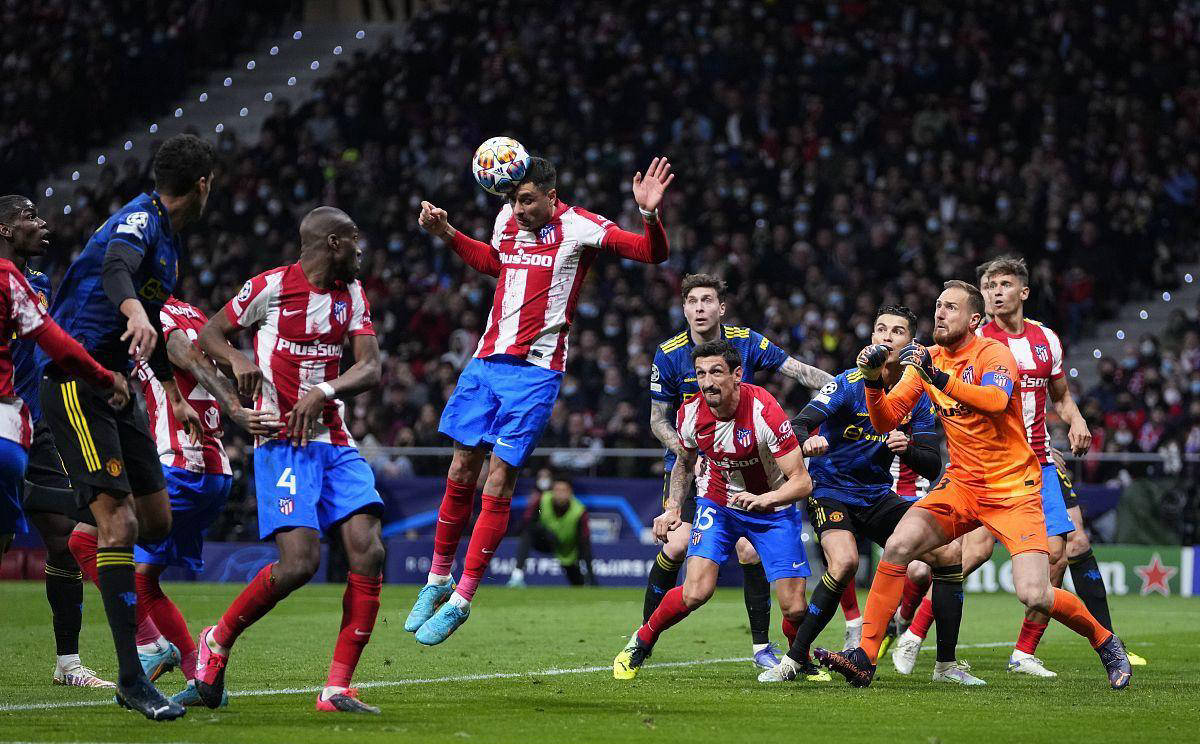 杨瀚森的选 杨瀚森的选